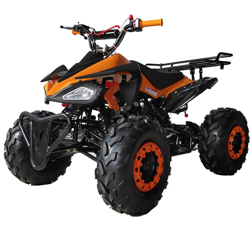 products/ATVs/ATV-P008/1-l.jpg