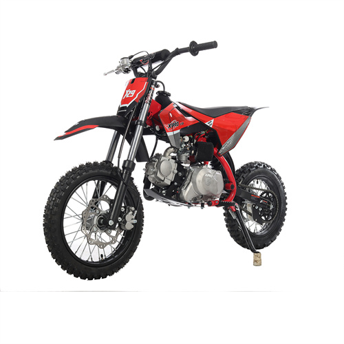 X-PRO DB-K013 110cc Dirt Bike with Automatic Transmission, Electric Start